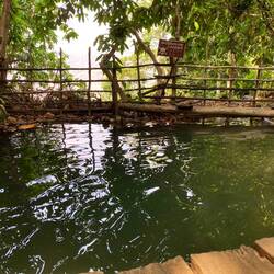 ... sind bis nach oben gekraxelt, sieht an der Kante aus wie ein Infinity-Pool, aber "Danger"