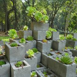 Im botanischen Garten🤗