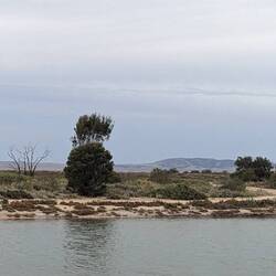 View from the site
