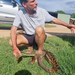 הוא הביא לנו חדש בשק אחרי שהוא אכת תרנגולת