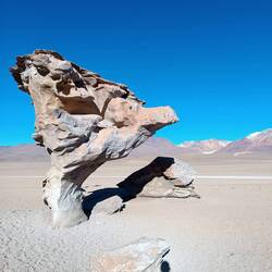 Árbol de Piedra.