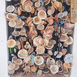 Alle Fenster zugehangen