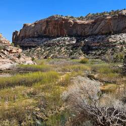 Lower Calf Creek Trail