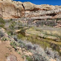 Lower Calf Creek Trail