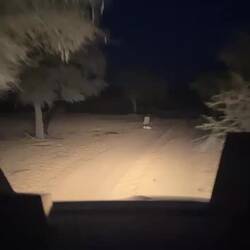 VIDEO- Driving to dinner after sunset
