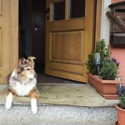 Nila ist im sogenannten Heim-Heim☺️
