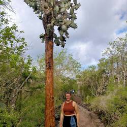 Diesen Kaktus gibt es nur auf Galapagos