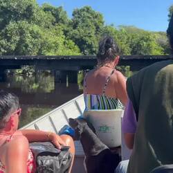 last time our bridge - on the way to our car