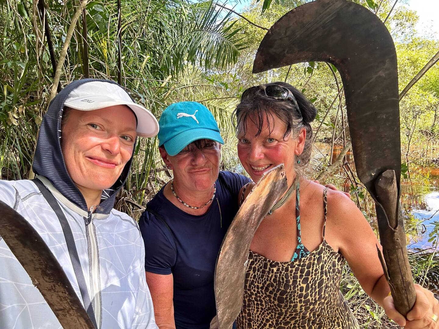 we cutting palmtree leaves