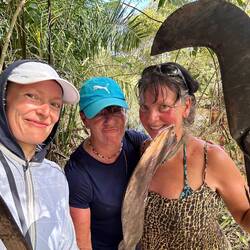 we cutting palmtree leaves