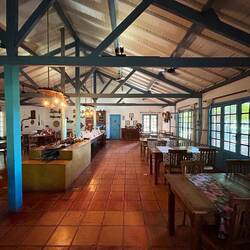 the room with the yummi food
