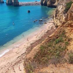 Viele Algen am Strand