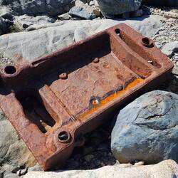 What's this beach find?