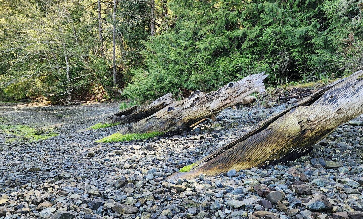 Old dock piles?