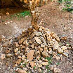 Shrine made of Goat Skeleton (not made by us)