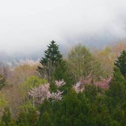 Aber die Sicht wäre sicherlich nicht vorhanden gewesen, die Wolken hängen tief