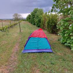 Cold, windy and wet outside!