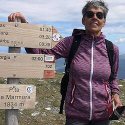 Der Weg ist wirklich gut markiert