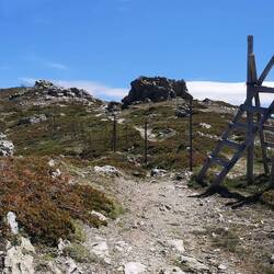Ursprüngliche Kletterhilfen über Weidezäune.