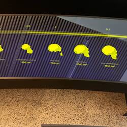 Pic from evolution museum