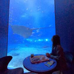 Im Aquarium