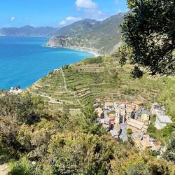 Looking down on Manarola