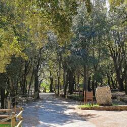 Der Park von Santa Barbara