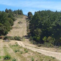 Eine vom mehreren Brandschneisen