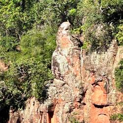 a rock in the Macaw Cave that looks like a Macaw