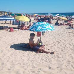 Das gleiche Bild von heute