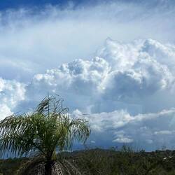 it was super hot at 7am already, I guess this is the coming rain for cool down