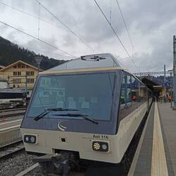 The driver sits up top so passengers get a straight forward view!