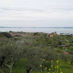 Blick auf den Lago di Bolsena