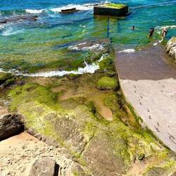 First time (for me) seeing salt-water moss.