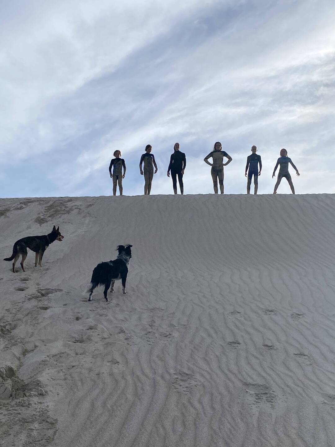The gang, Brax, Lachie, Matilda, Willow, Meki, Seb and the dogs
