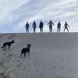 The gang, Brax, Lachie, Matilda, Willow, Meki, Seb and the dogs