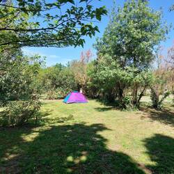 Quiet... apart from thee frogs' cacophony!