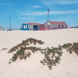 Hier stehen nette kleine Häuschen am Strand