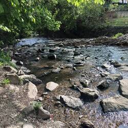 Der Saynbach in Sayn