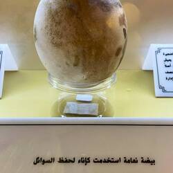 EGG from 2500 BC