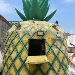 This I could identify