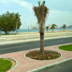 Beach front on the. Persian Gulf