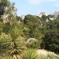 Im botanischen Garten