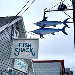 Überall in Luneburg sind die Masten mit solchen Schildern verziert