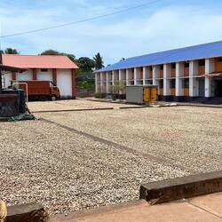 Cashews drying outside for a day or two