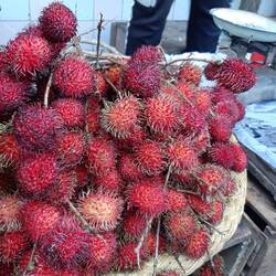 Litchi's. Frisch sind sie so viel besser!