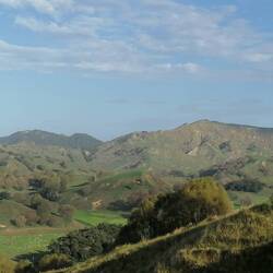 View over the hills from the farm in tolaga bay