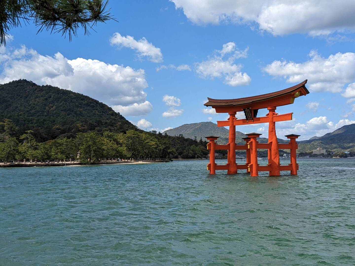 Le Torii géant ⛩️ de type Ryōbu Torii
