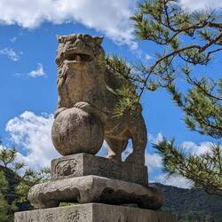 Komainu, le lion gardien. Ils sont deux avec pour l'un la gueule ouverte, l'autre fermée.