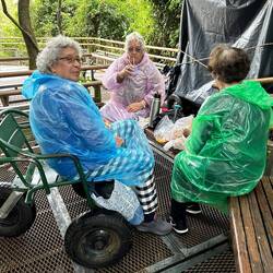 They do it right! Picnic with Mate Tea)